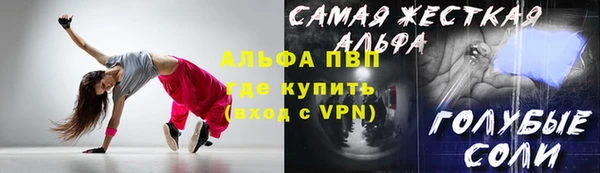 индика Баксан