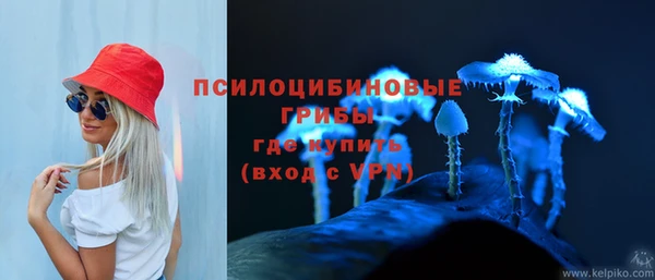 индика Баксан