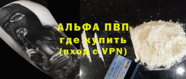 индика Баксан
